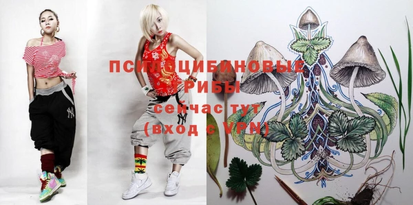 кокс Алзамай