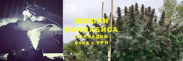 гидра Алексин