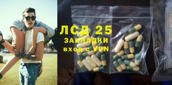 гидра Алексин