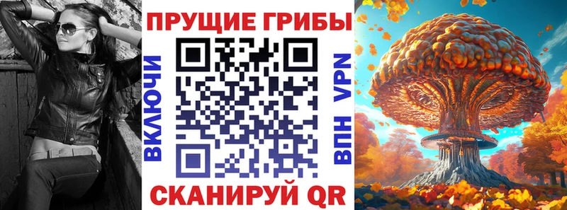 Галлюциногенные грибы мухоморы  купить  цена  MEGA ONION  Духовщина 
